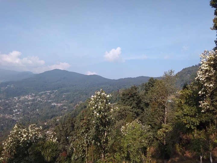 Darjeeling