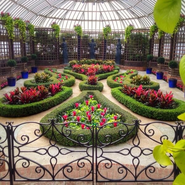 flowers garden