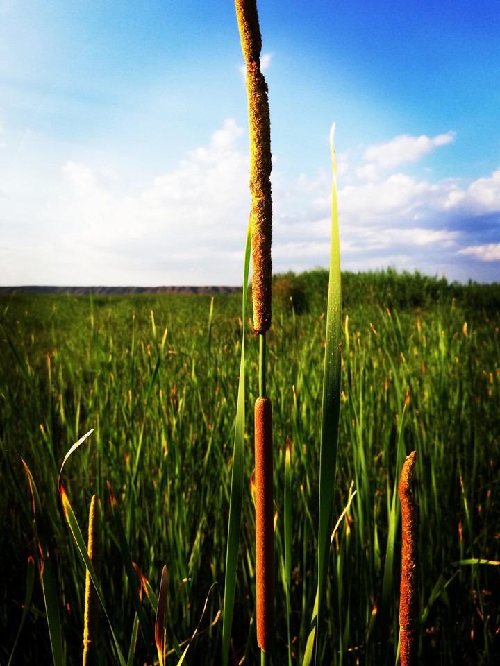 my photography