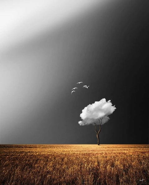 cloud, horizon háttérképek