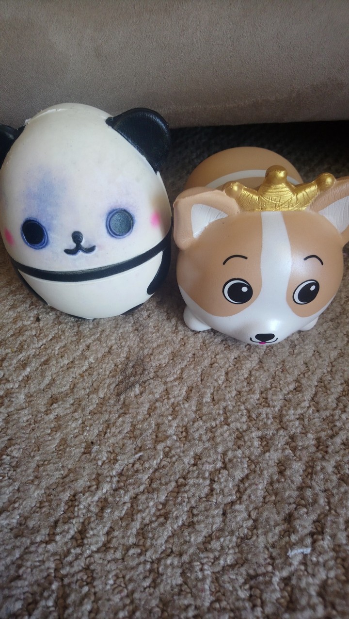 My squishys