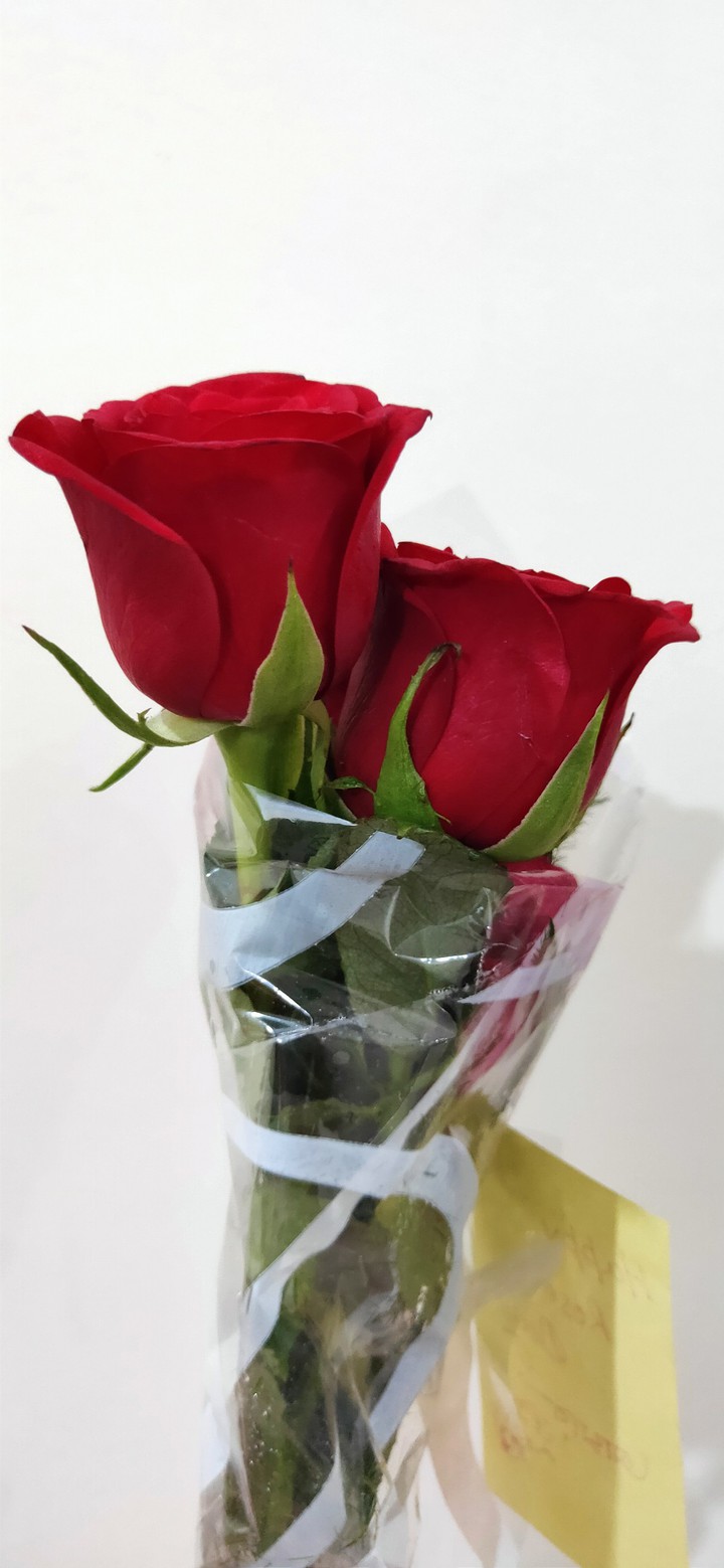 Happy Rose Day