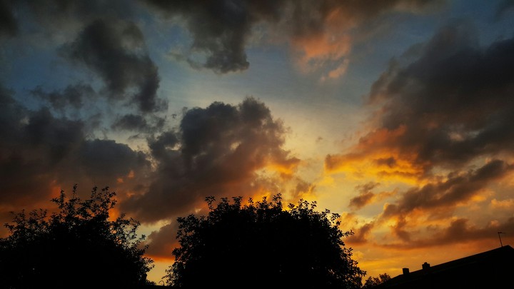 look up in the sky