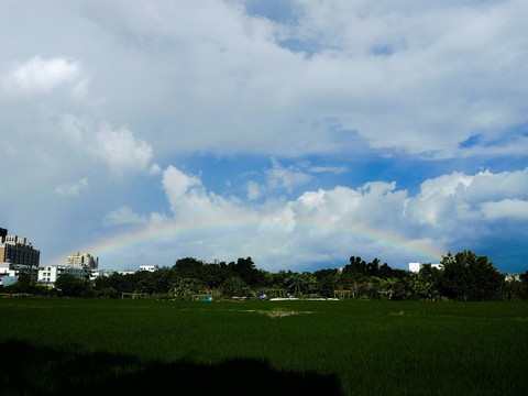 台灣桃園彩虹