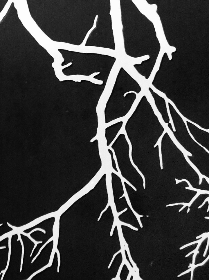 Branches