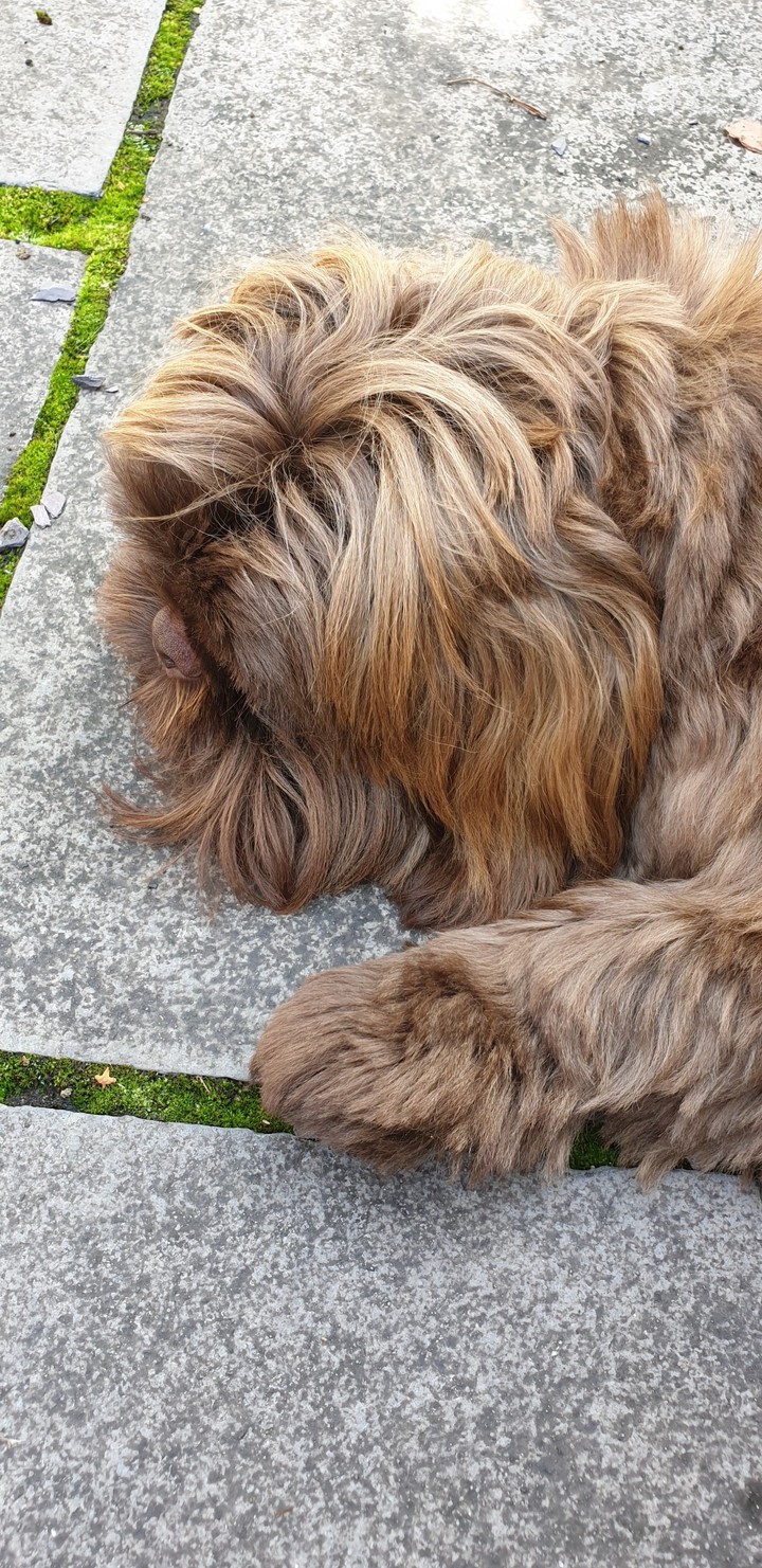 I'm tired now!!