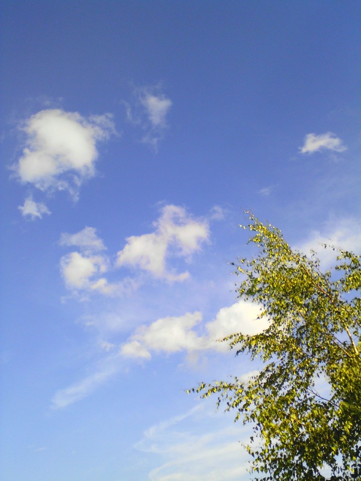 sky