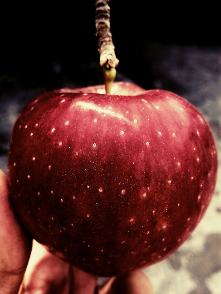 apple