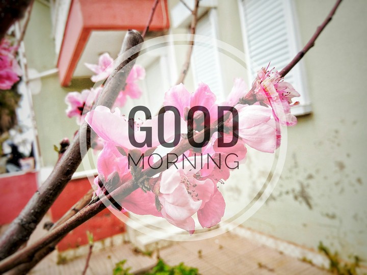 GOOD MORNING