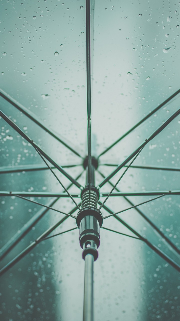 ☂️☔☂️