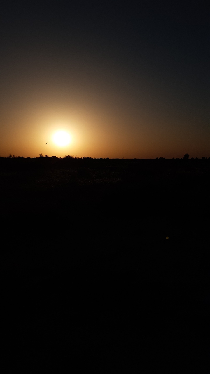 sunset