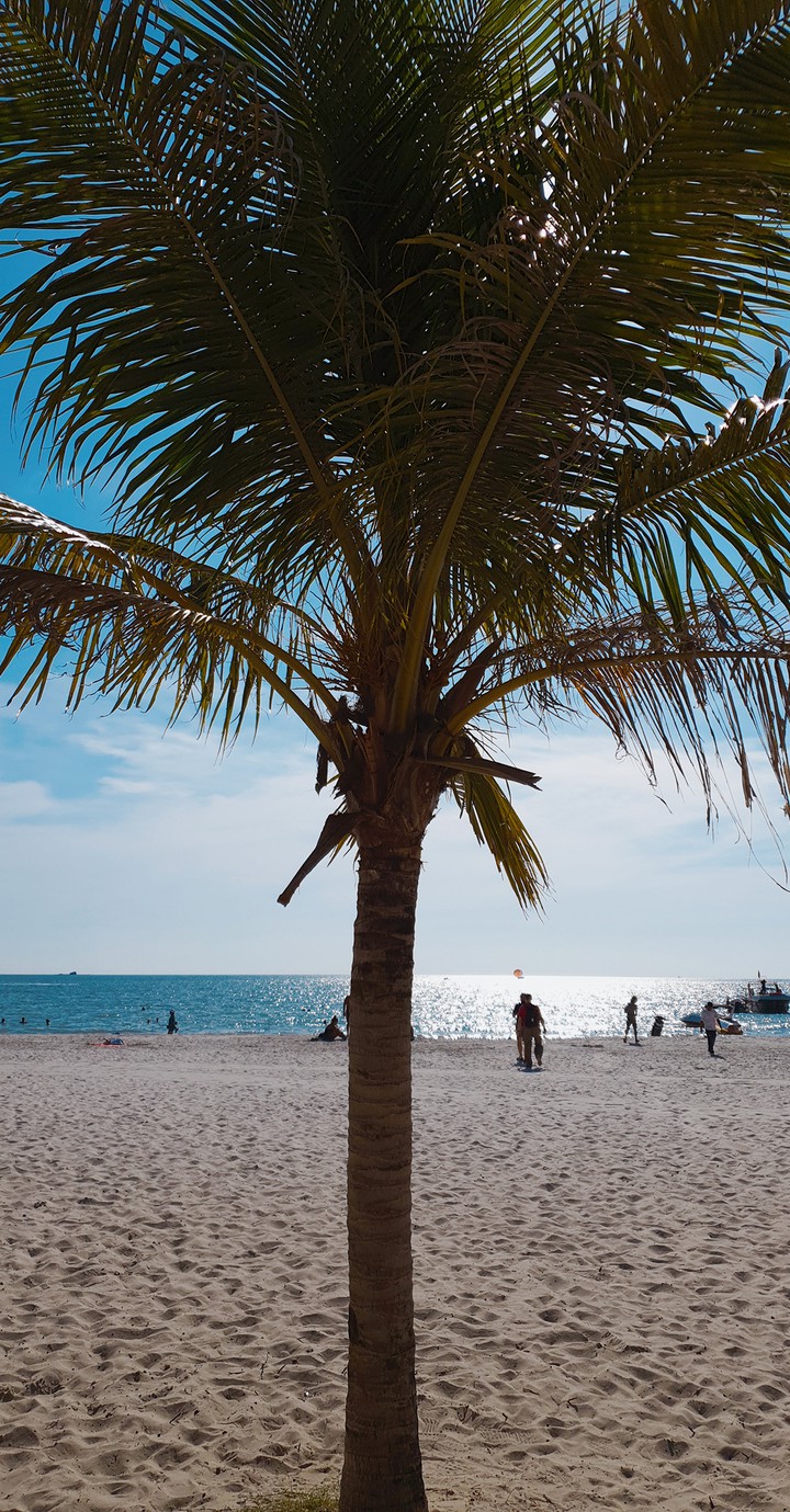 beach