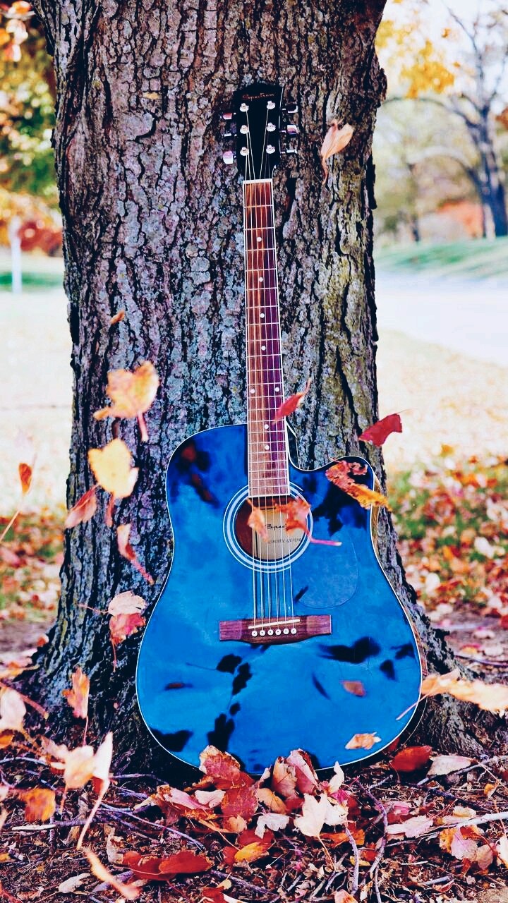 guitar