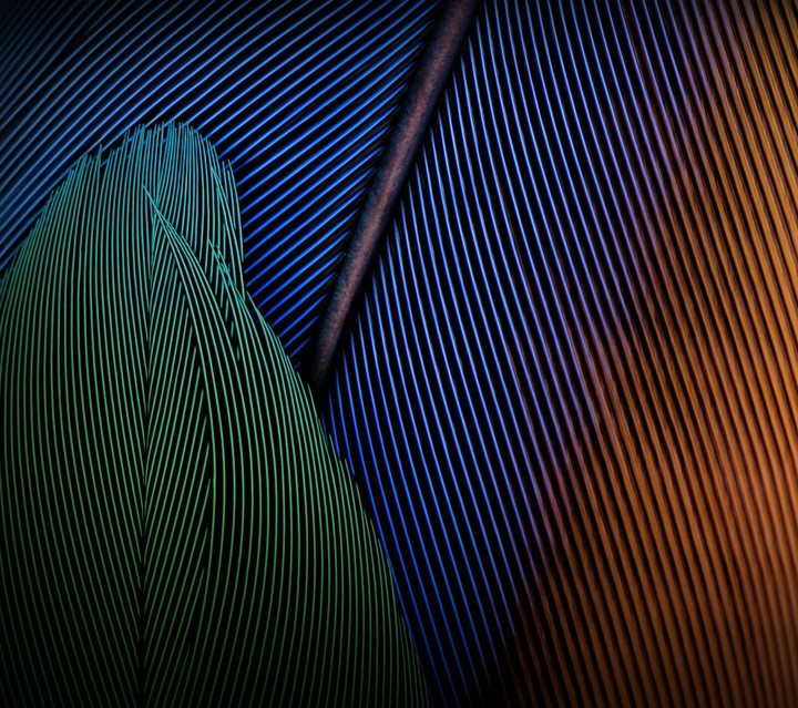 Motorola Moto G5