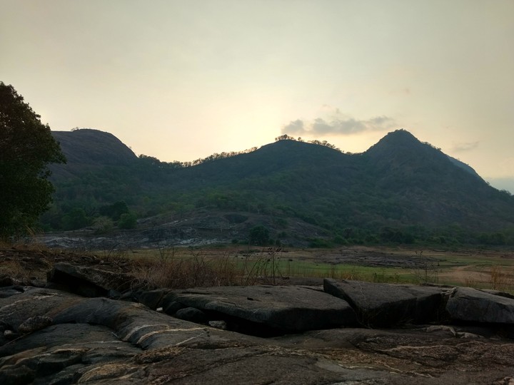 landscape