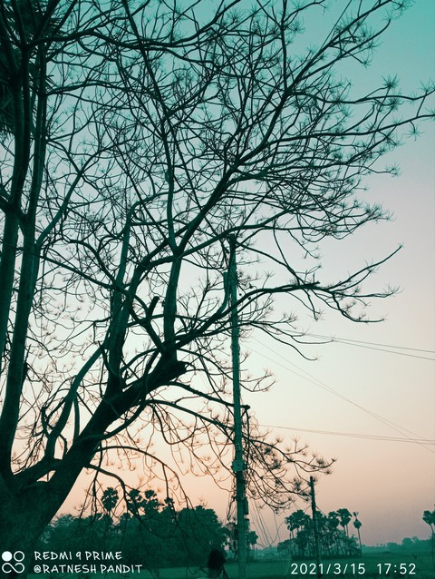 best wallpaper for mobile