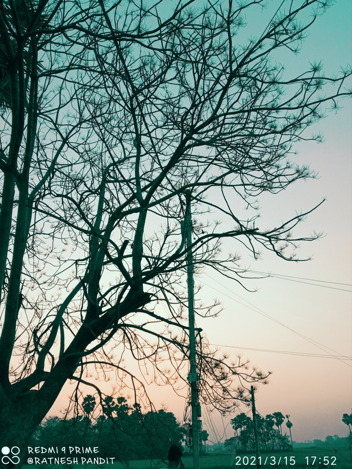 best wallpaper for mobile