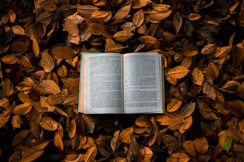 Book on the leaves.