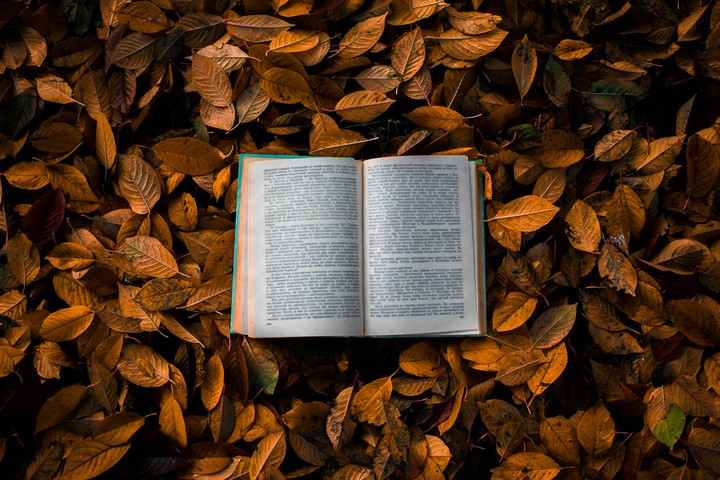 Book on the leaves.