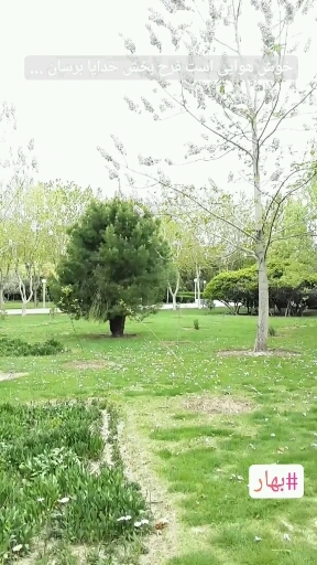 spring in isfahan, iran