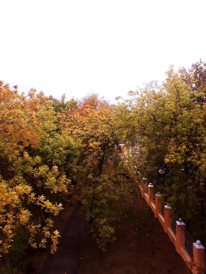 осень