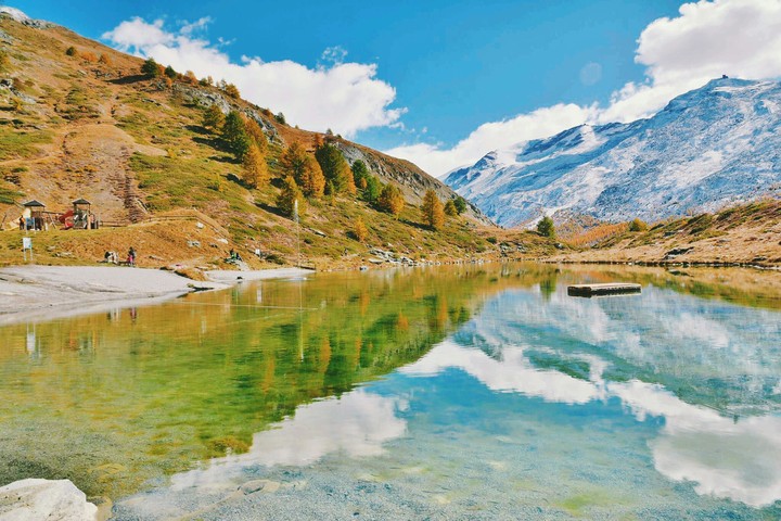 swiss