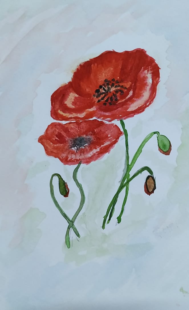 Poppies