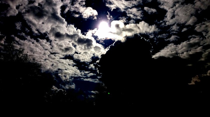 night