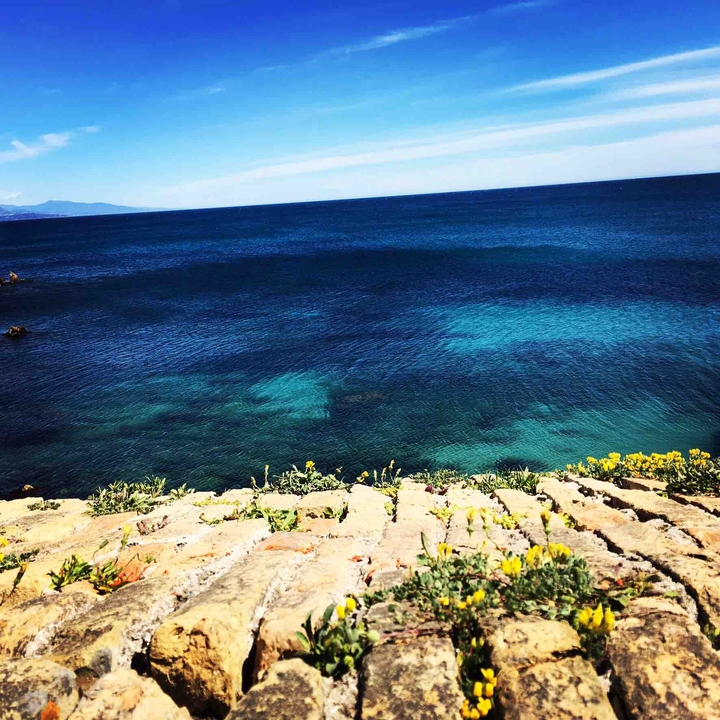 Paradise