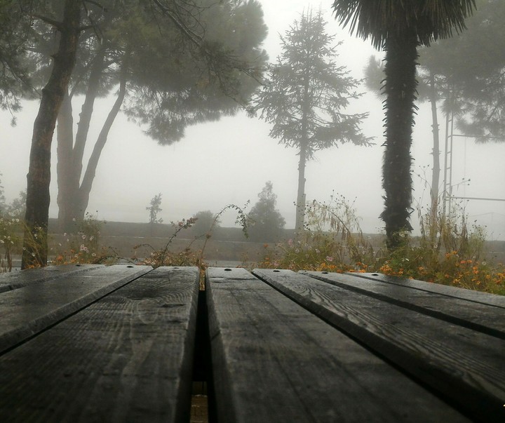 Trabzon / Boztepe