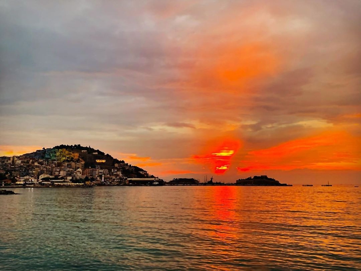 bird island
