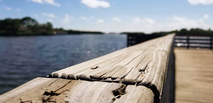 the Docks