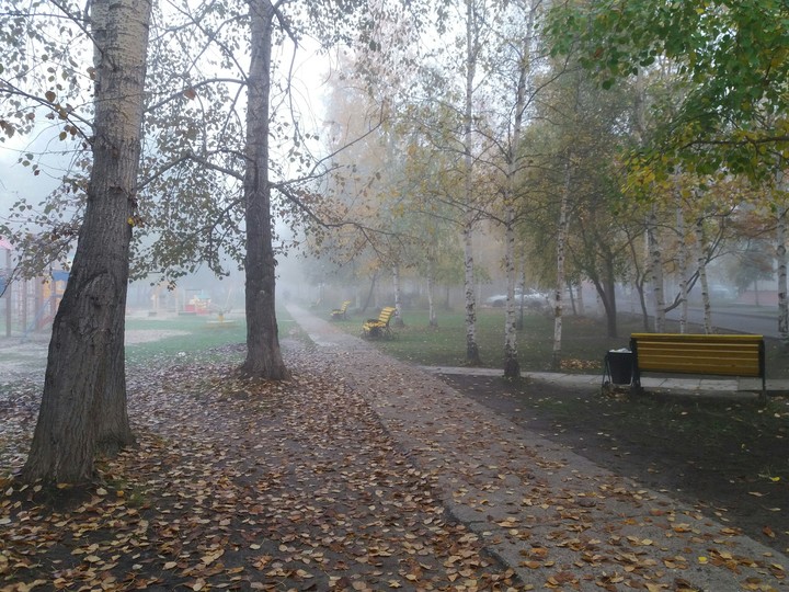 мрр