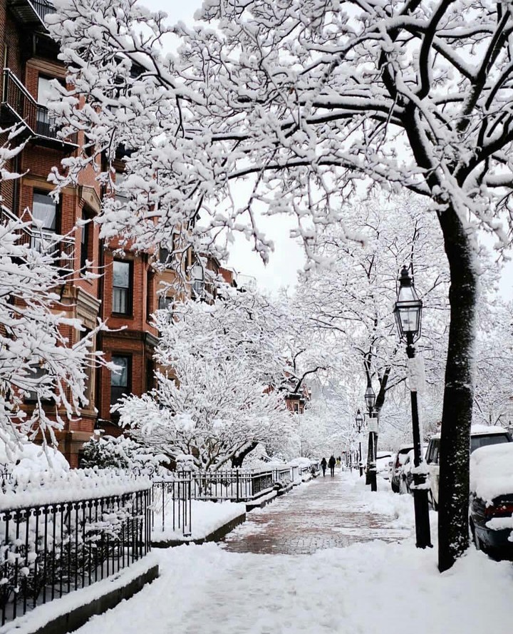 snow in boston