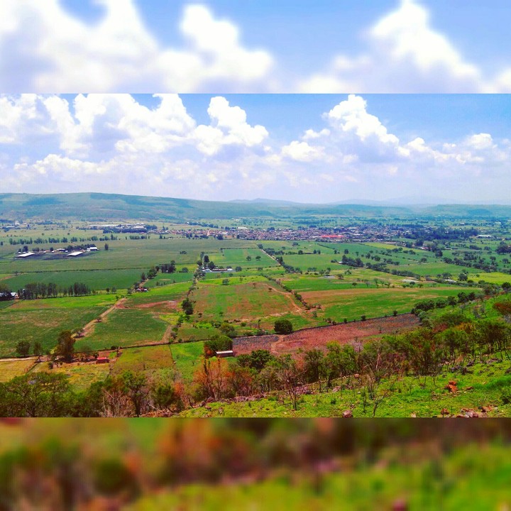 Naturaleza