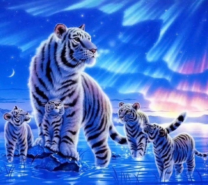 Tigers