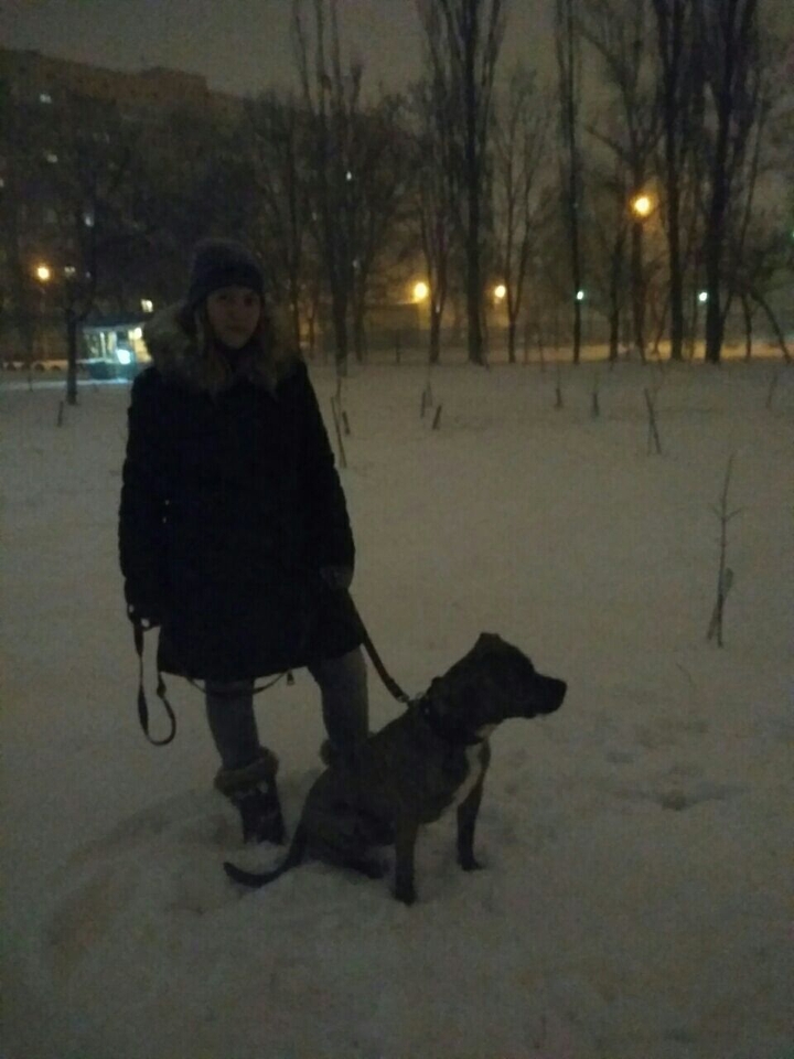 me and my dog