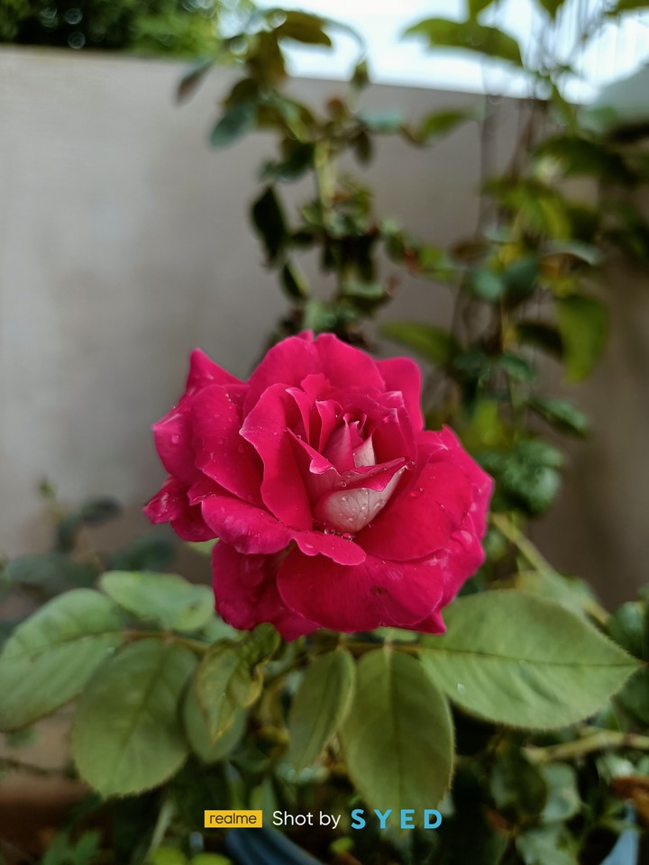 beautiful nature