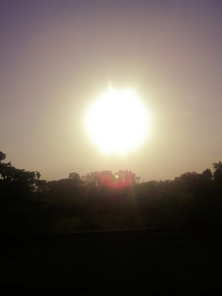 sun rise
