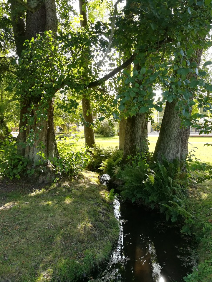 nice place