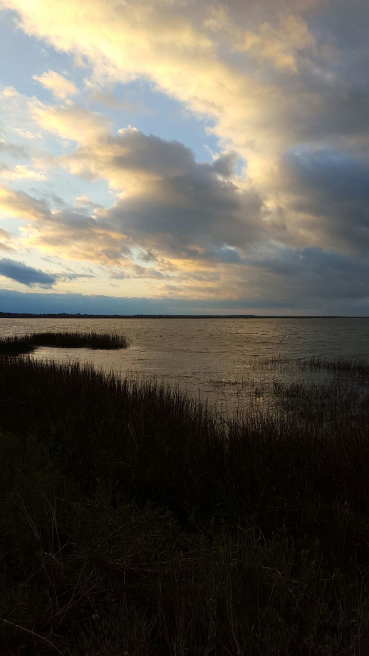 Marsh Sunset