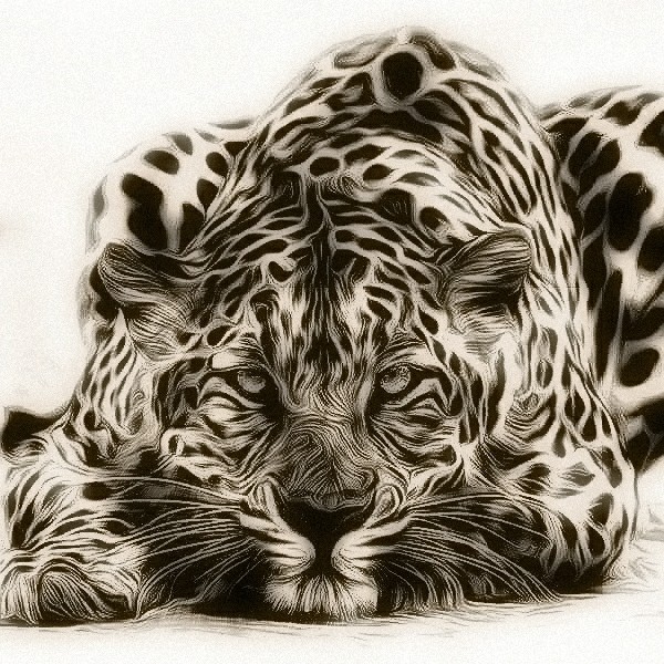 Black and White