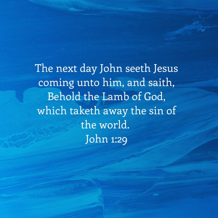 JOHN 1:29 KJV