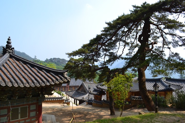 산이미지