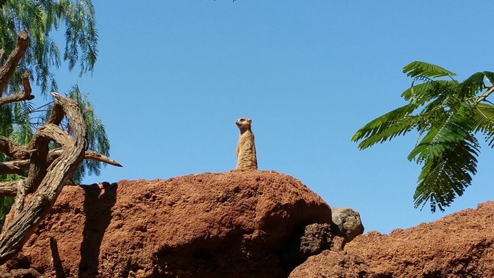 Oasis Park '.
