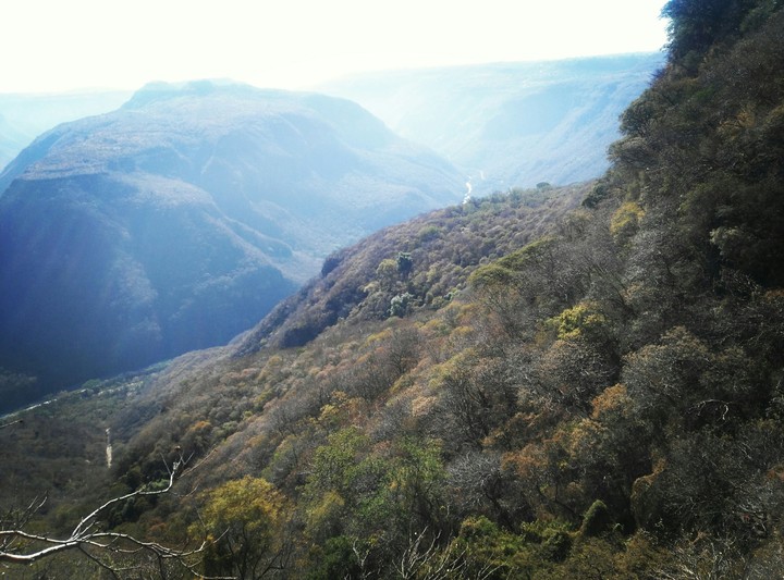 Barranca de Huentitan
