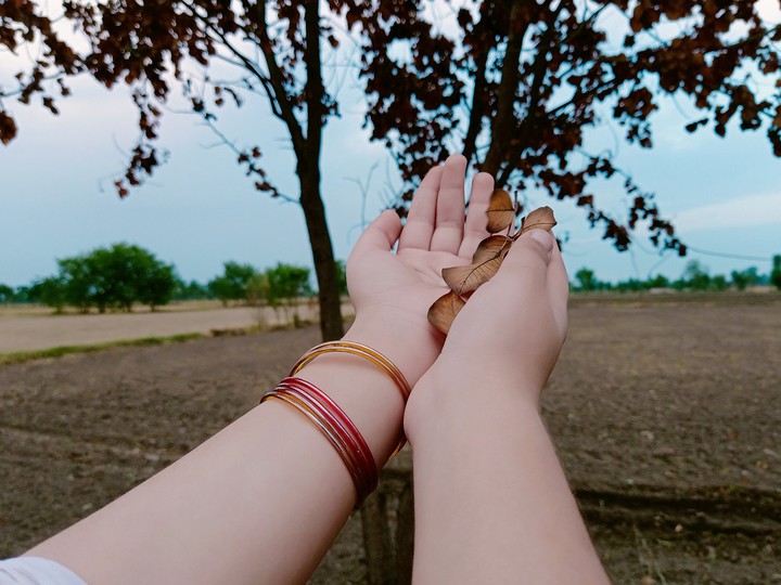 Hands