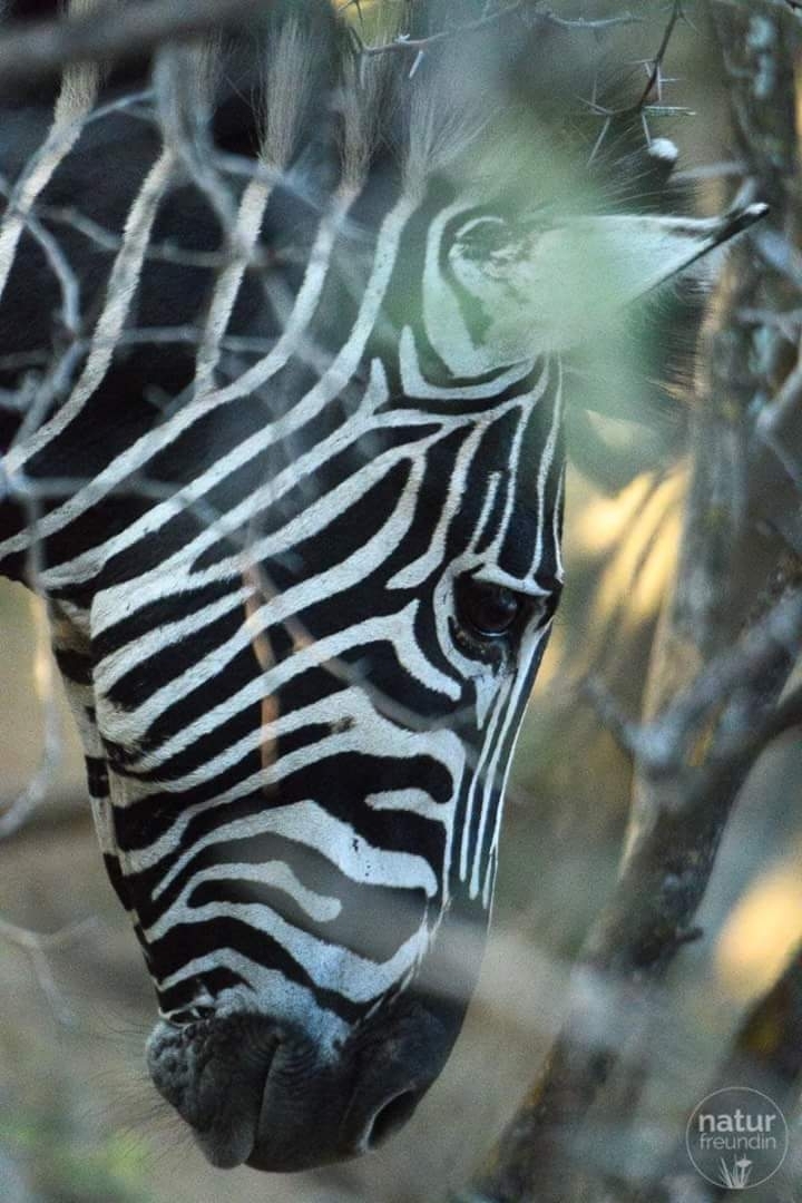 tolles Foto