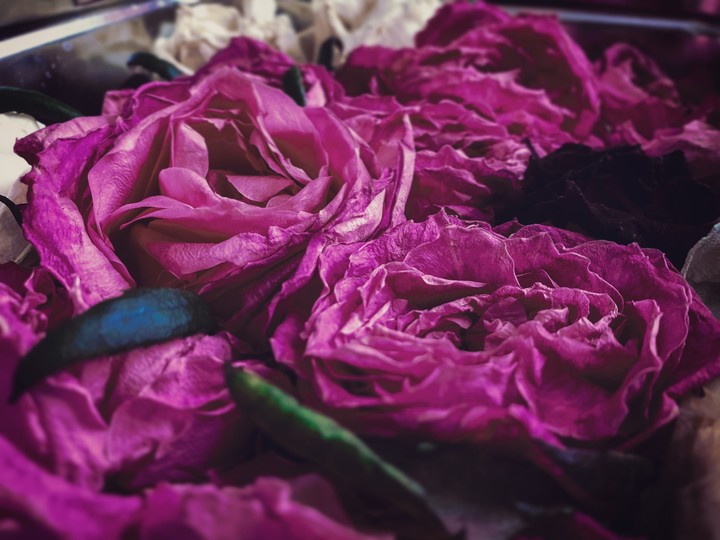 roses