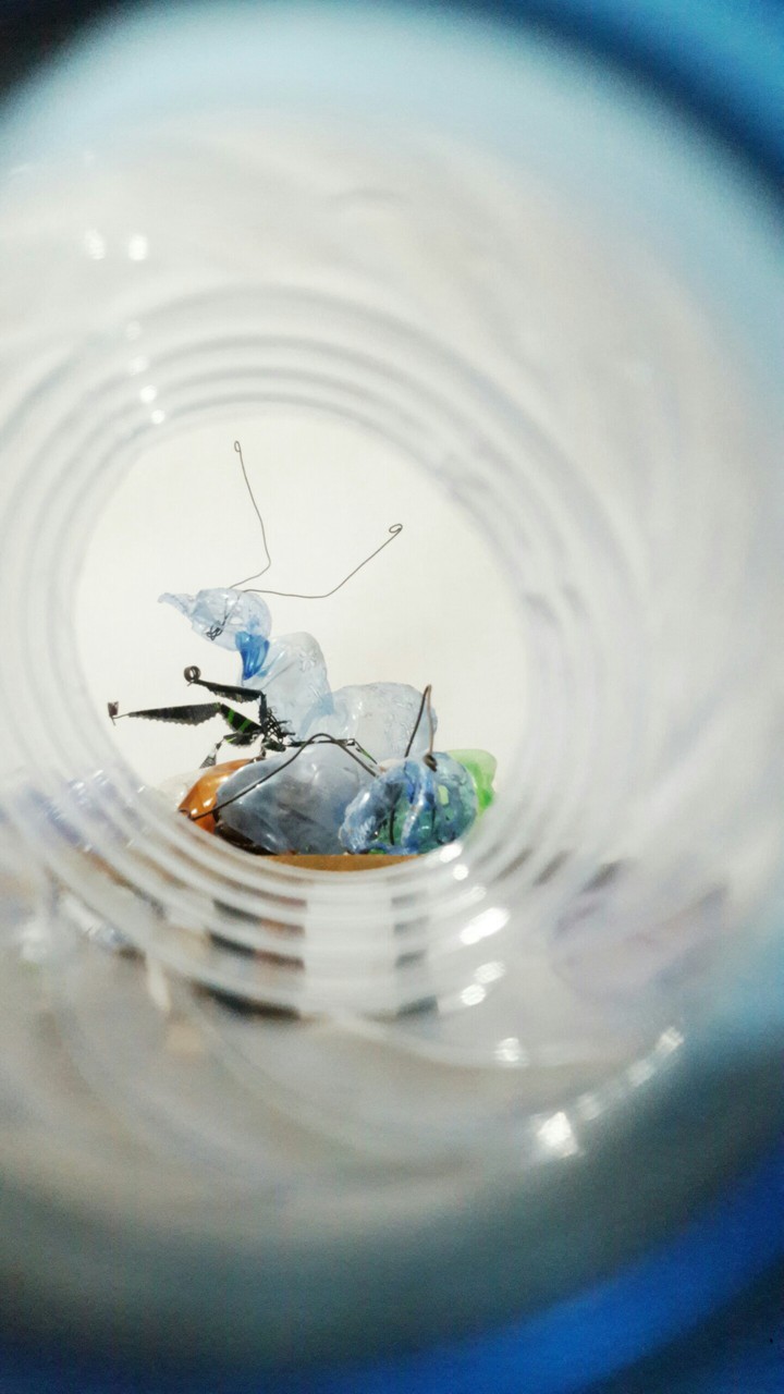 Ant sculpture